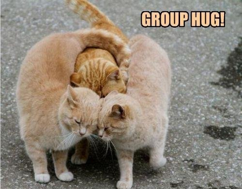 kitty-cat-hugs.jpg